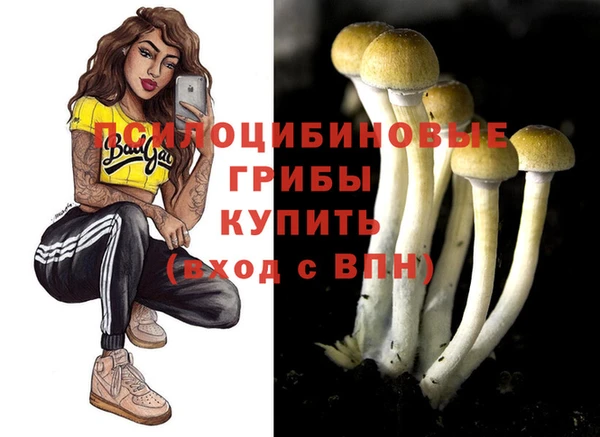 a pvp Абаза