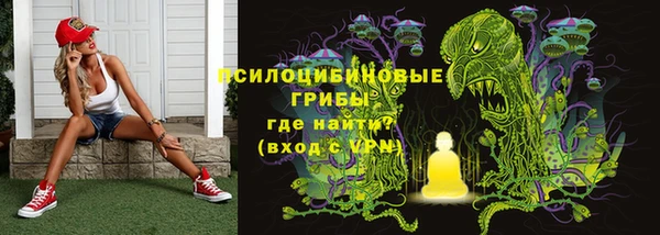 твердый Абинск