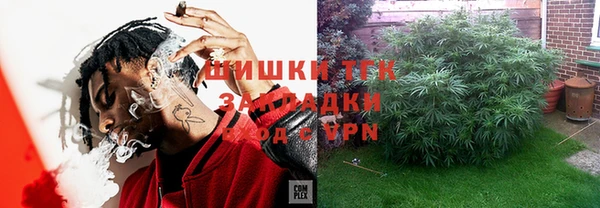 метадон Алексин