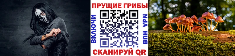 где купить наркоту  Слюдянка  Псилоцибиновые грибы прущие грибы 